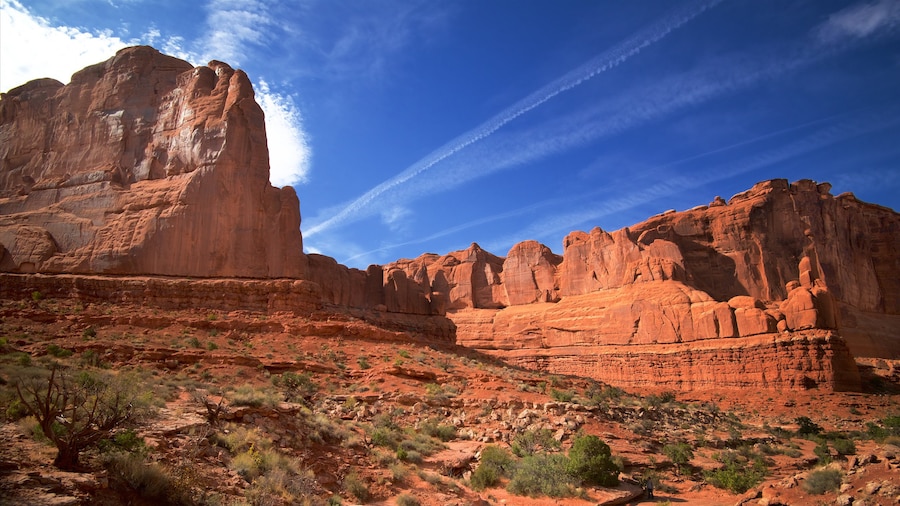 Arches National Park which includes tranquil scenes, desert views and a gorge or canyon