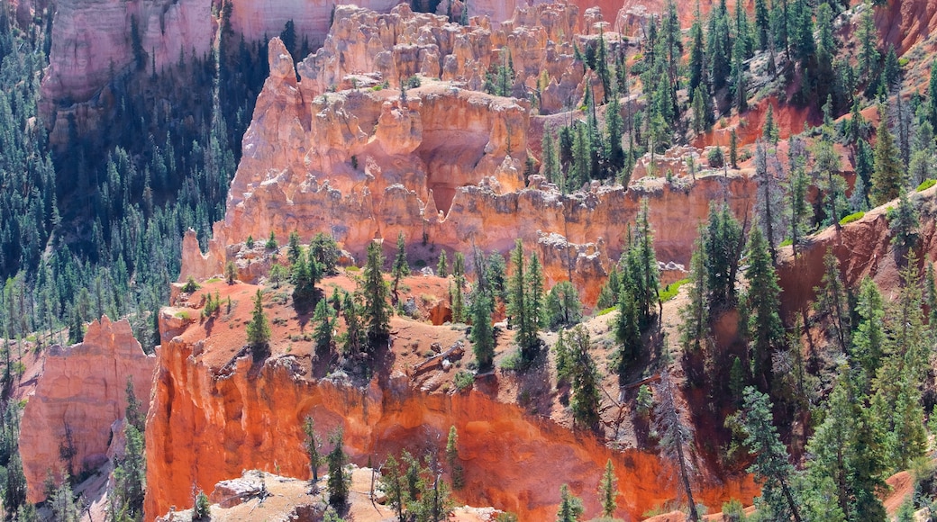 Bryce Canyon National Park showing desert views, tranquil scenes and a gorge or canyon