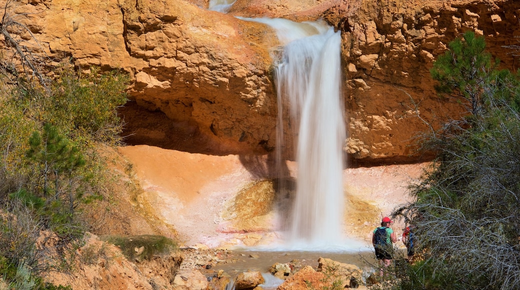 Bryce Canyon National Park ofreciendo una cascada, una garganta o cañón y vista al desierto