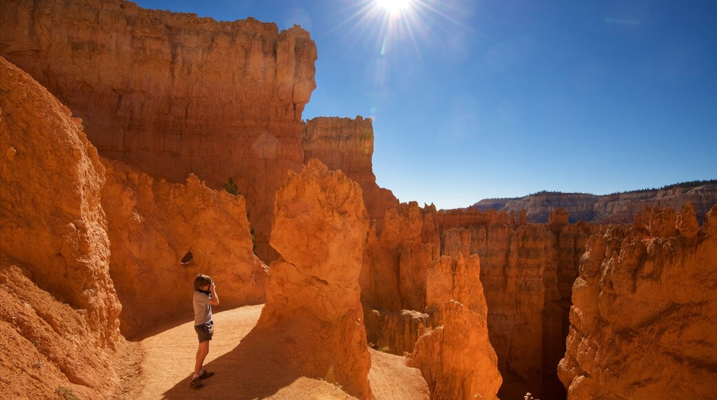 Bryce Canyon National Park showing tranquil scenes, desert views and a gorge or canyon