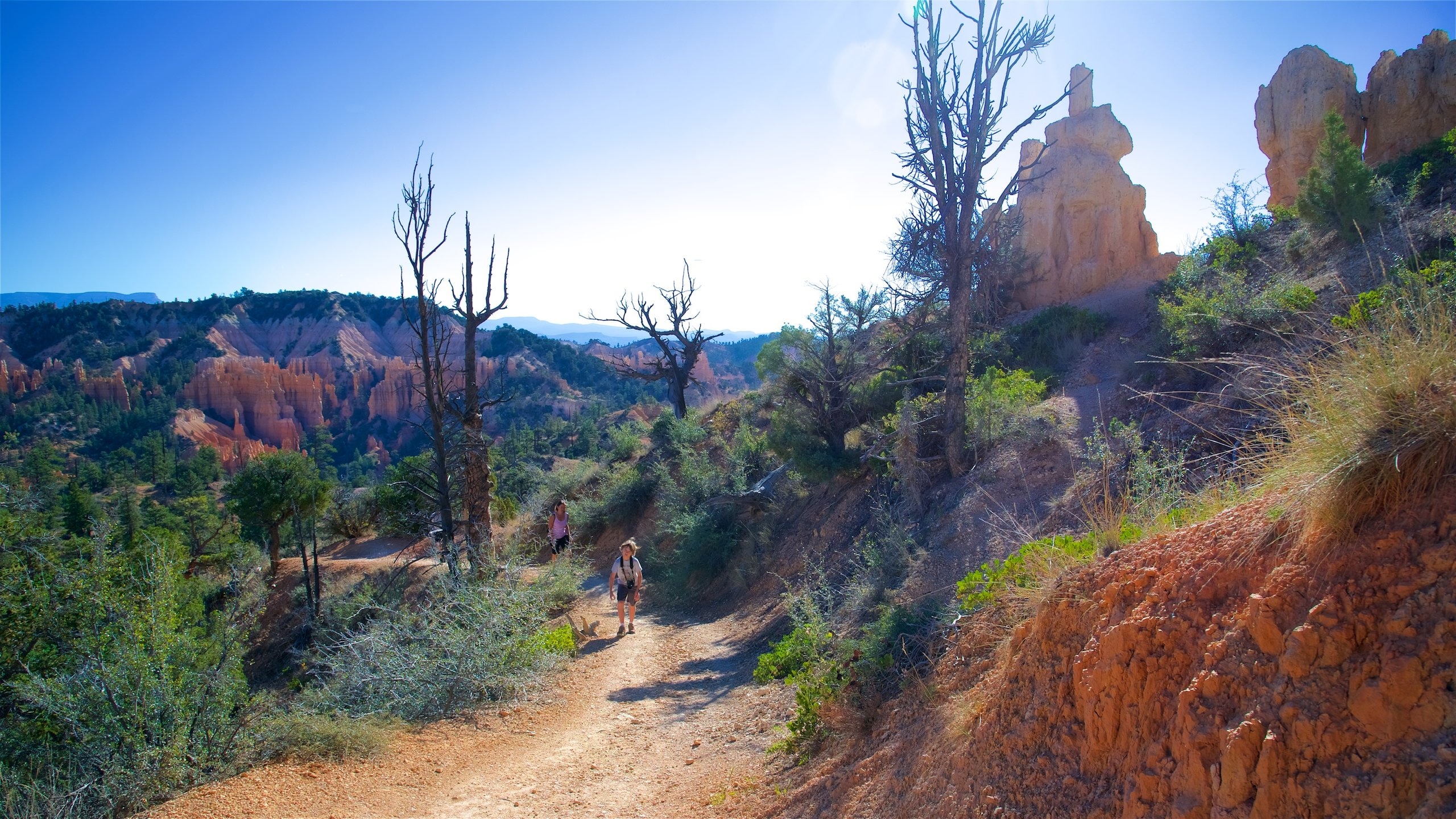 Top 10 Spas in Tropic, UT 75 Spa Hotels & Resorts in 2019