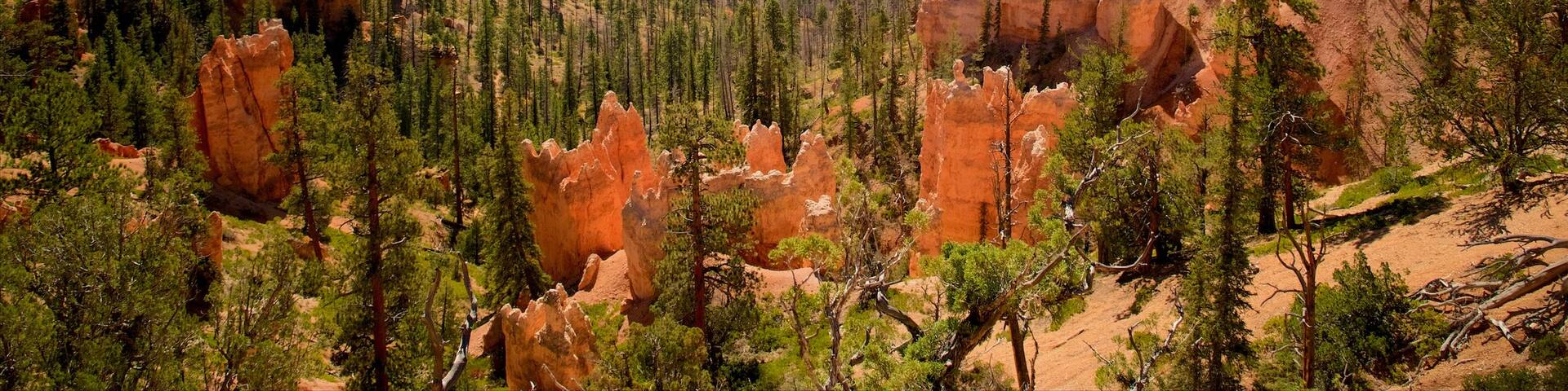 Bryce Canyon National Park que incluye vistas al desierto, escenas tranquilas y un barranco o cañón
