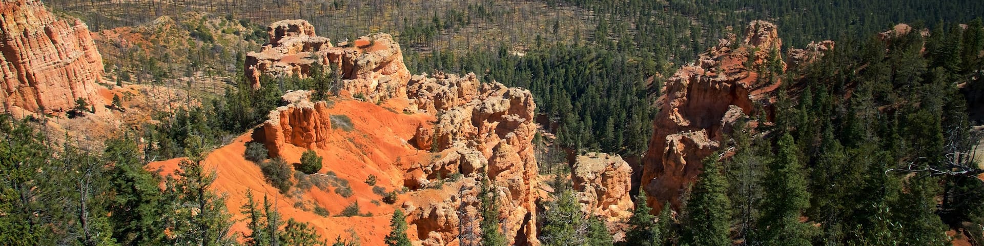 Bryce Canyon National Park showing a gorge or canyon, desert views and tranquil scenes