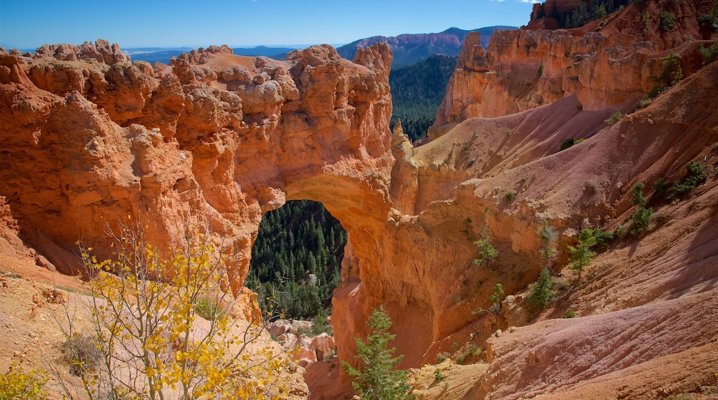 Tropic welches beinhaltet ruhige Szenerie, Wüstenblick und Schlucht oder Canyon