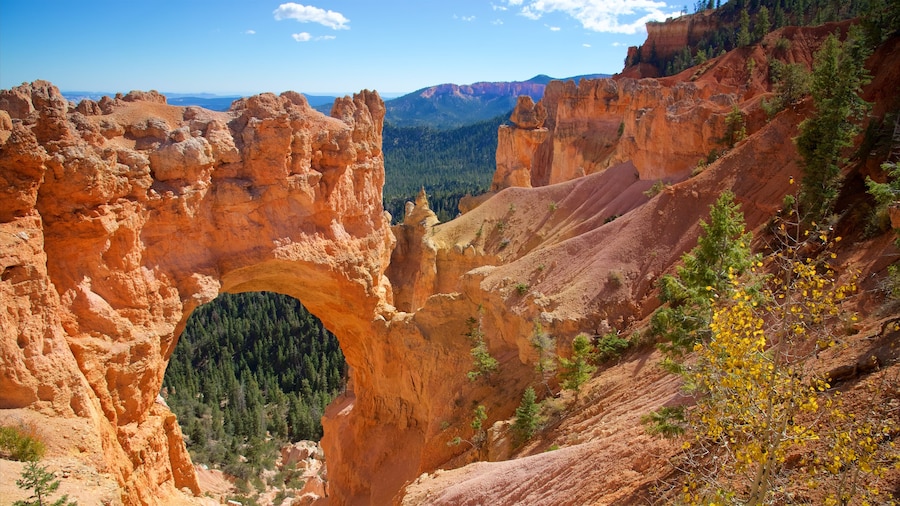 Bryce Canyon National Park featuring desert views, a gorge or canyon and tranquil scenes