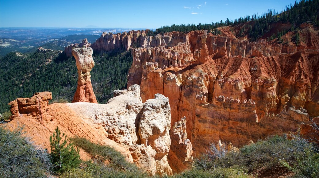 Agua Canyon