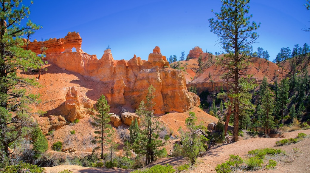 Bryce Canyon Nationalpark og byder på udsigt over ørkenen, fredfyldte omgivelser og en kløft eller slugt