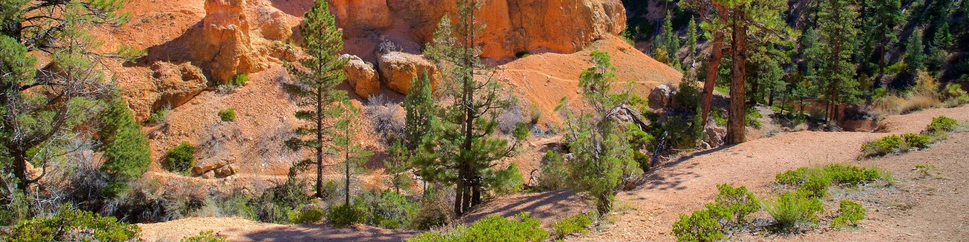 Bryce Canyon National Park which includes tranquil scenes, desert views and a gorge or canyon