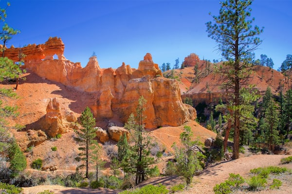 Parc national de Bryce Canyon montrant vues du désert, scènes tranquilles et gorge ou canyon