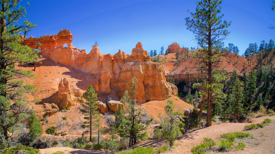 Bryce Canyon National Park ofreciendo escenas tranquilas, vistas al desierto y un barranco o cañón