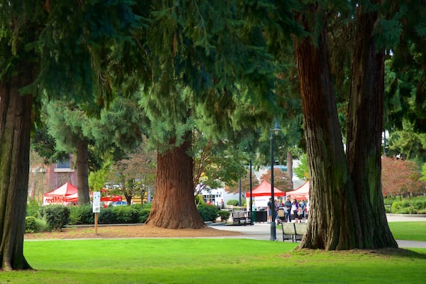 Esther Short Park montrant jardin