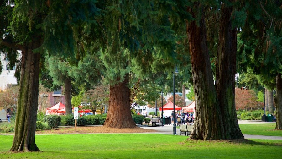 Esther Short Park featuring a garden