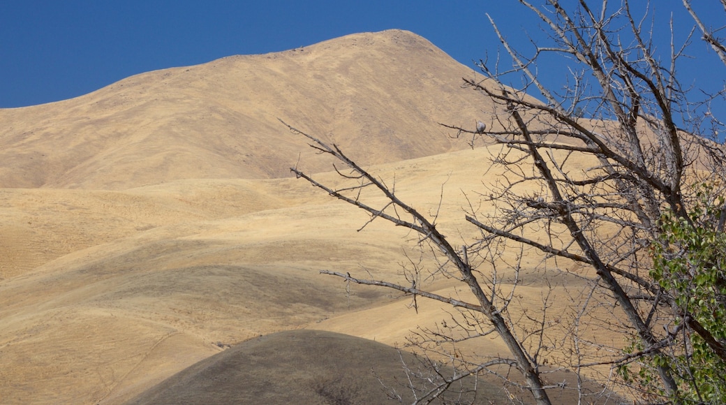 Wenatchee - Lake Chelan som viser fredfyldte omgivelser