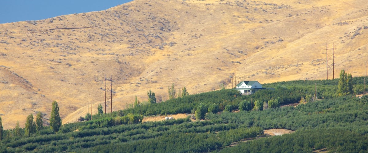 Wenatchee que incluye tierras de cultivo y escenas tranquilas