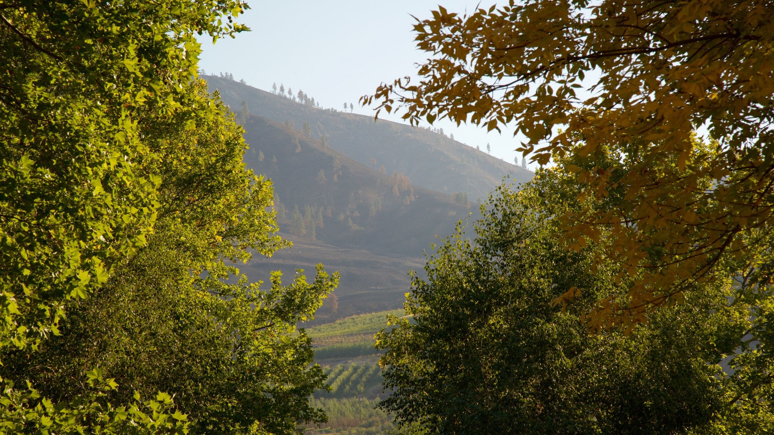 Central Washington, US Vacation Rentals house rentals & more Vrbo