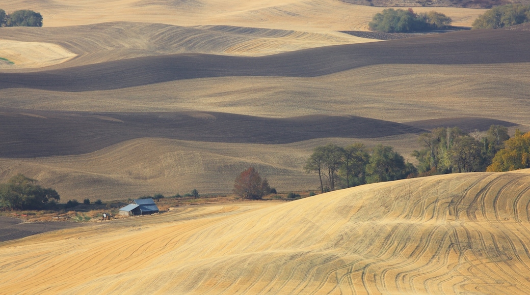 Pullman showing tranquil scenes