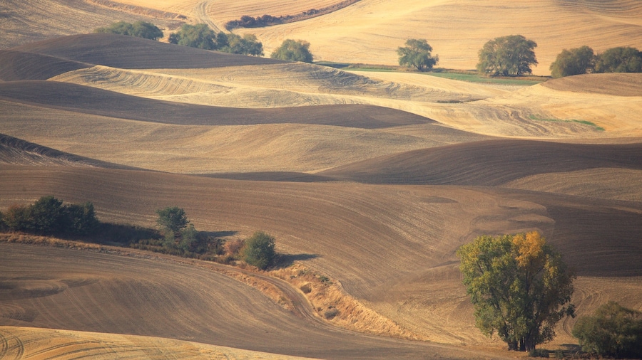 Steptoe Butte State Park