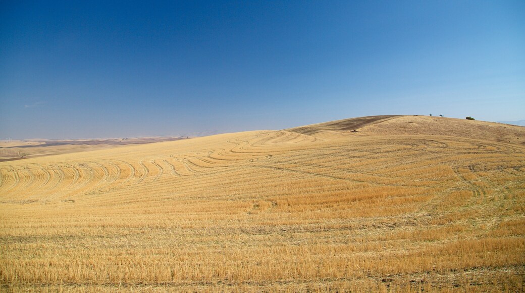 Palouse Scenic Byway