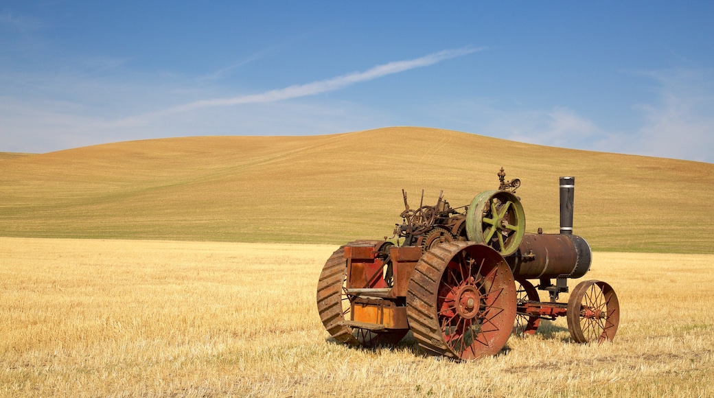 Pullman showing outdoor art, tranquil scenes and farmland