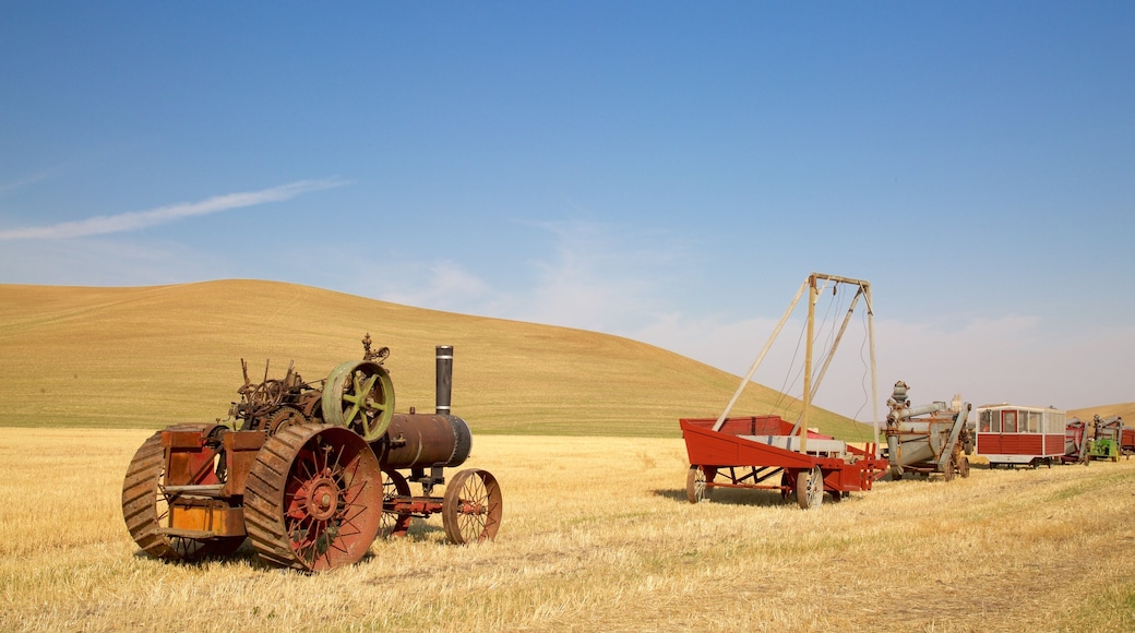 Palouse Scenic Byway which includes farmland