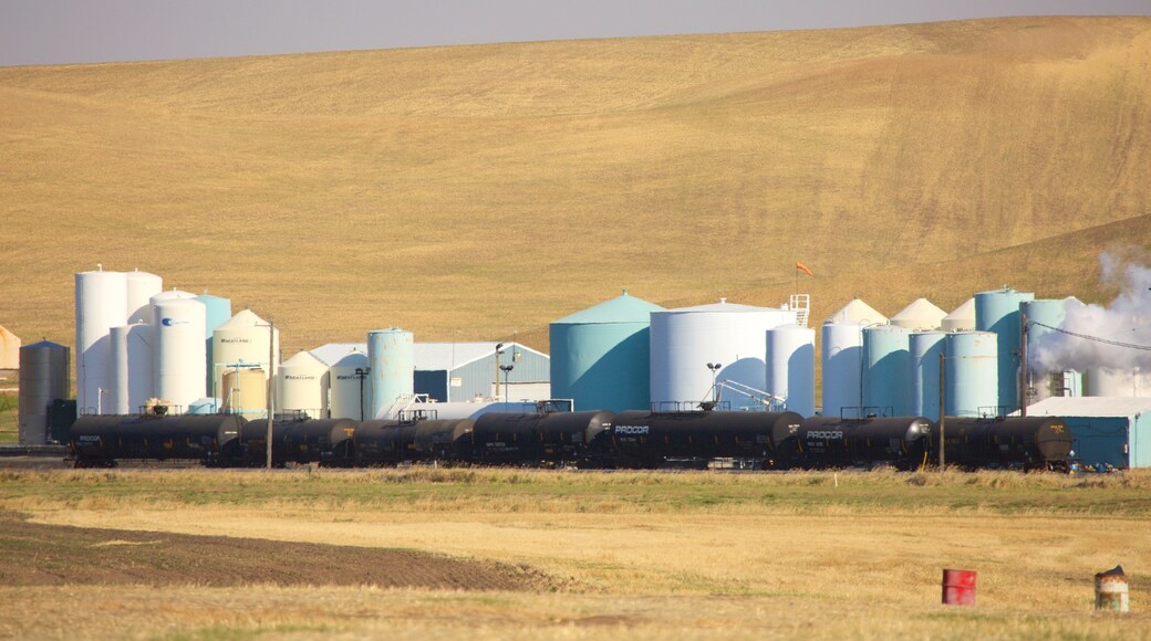 Pullman which includes tranquil scenes and farmland