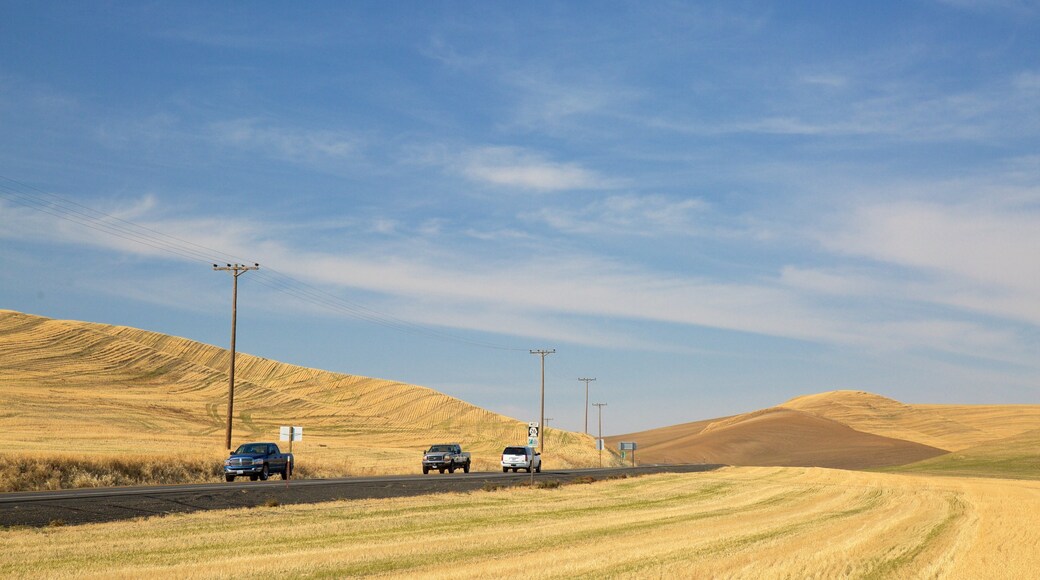 Eastern Washington featuring tranquil scenes and touring