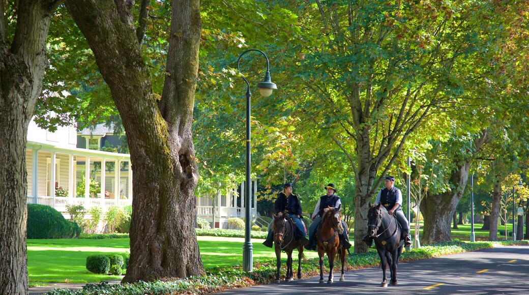 Officers Row which includes street scenes