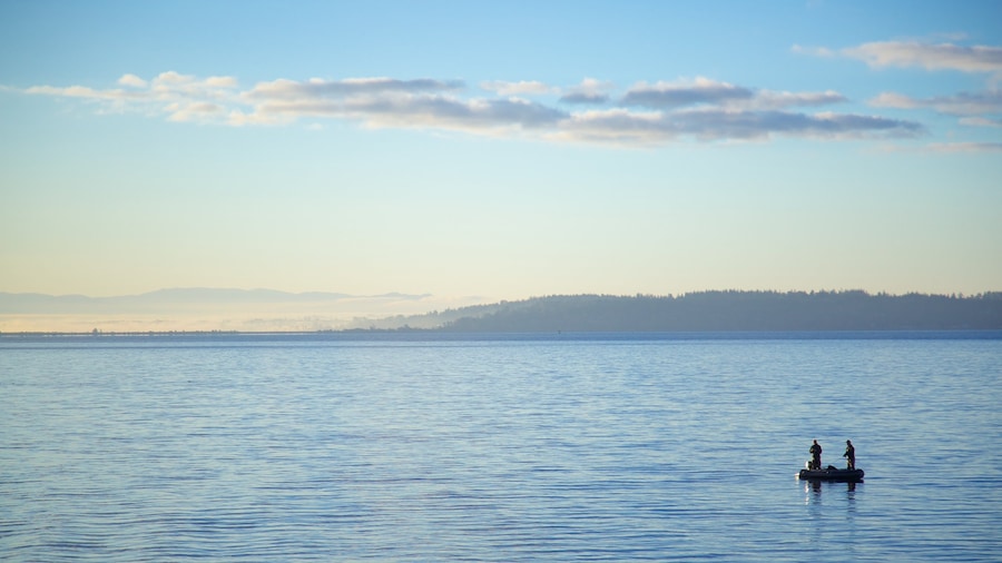 Northwest Washington which includes a bay or harbour, fishing and a sunset