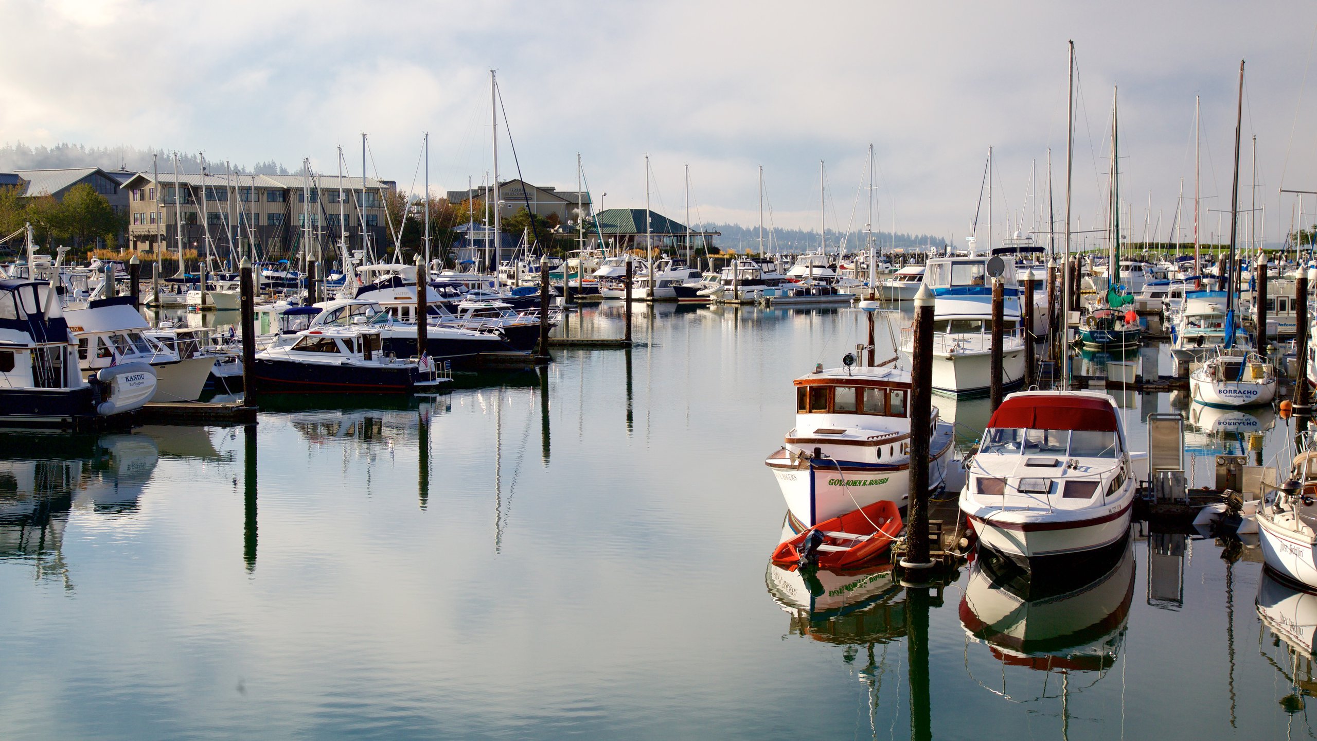 Bellingham showing a bay or harbor and a marina