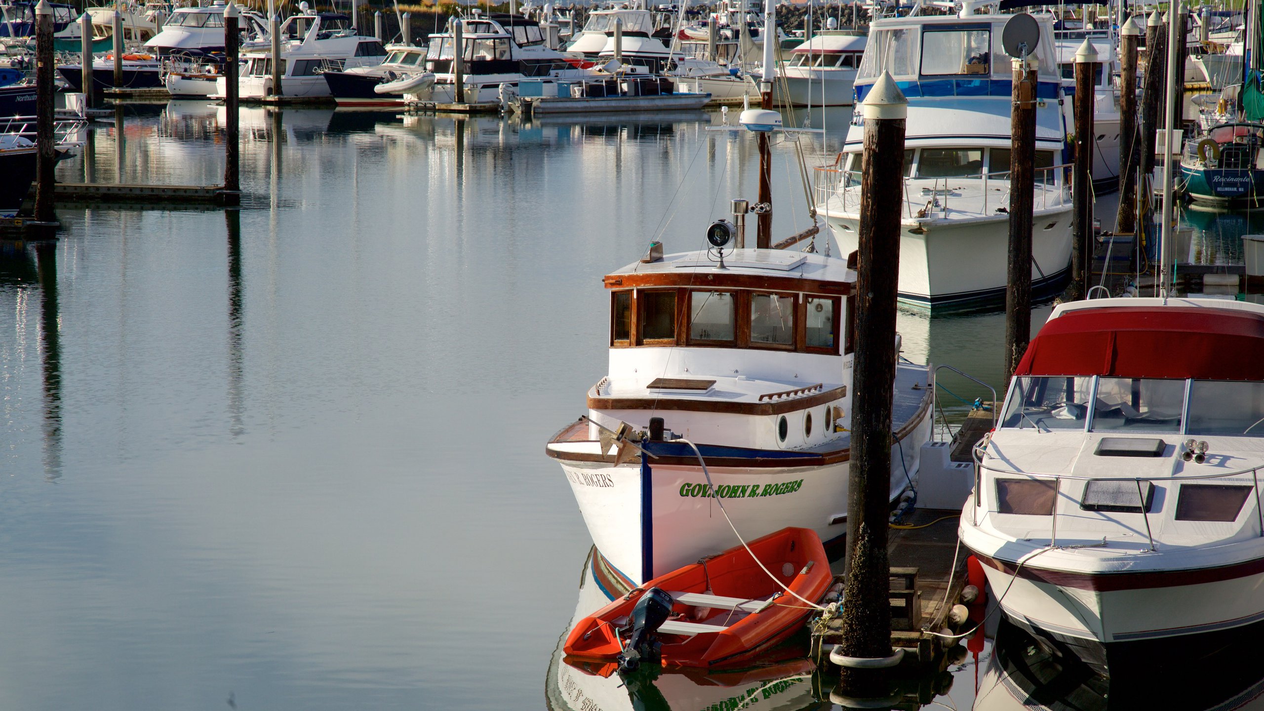 Bellingham which includes a bay or harbor and a marina