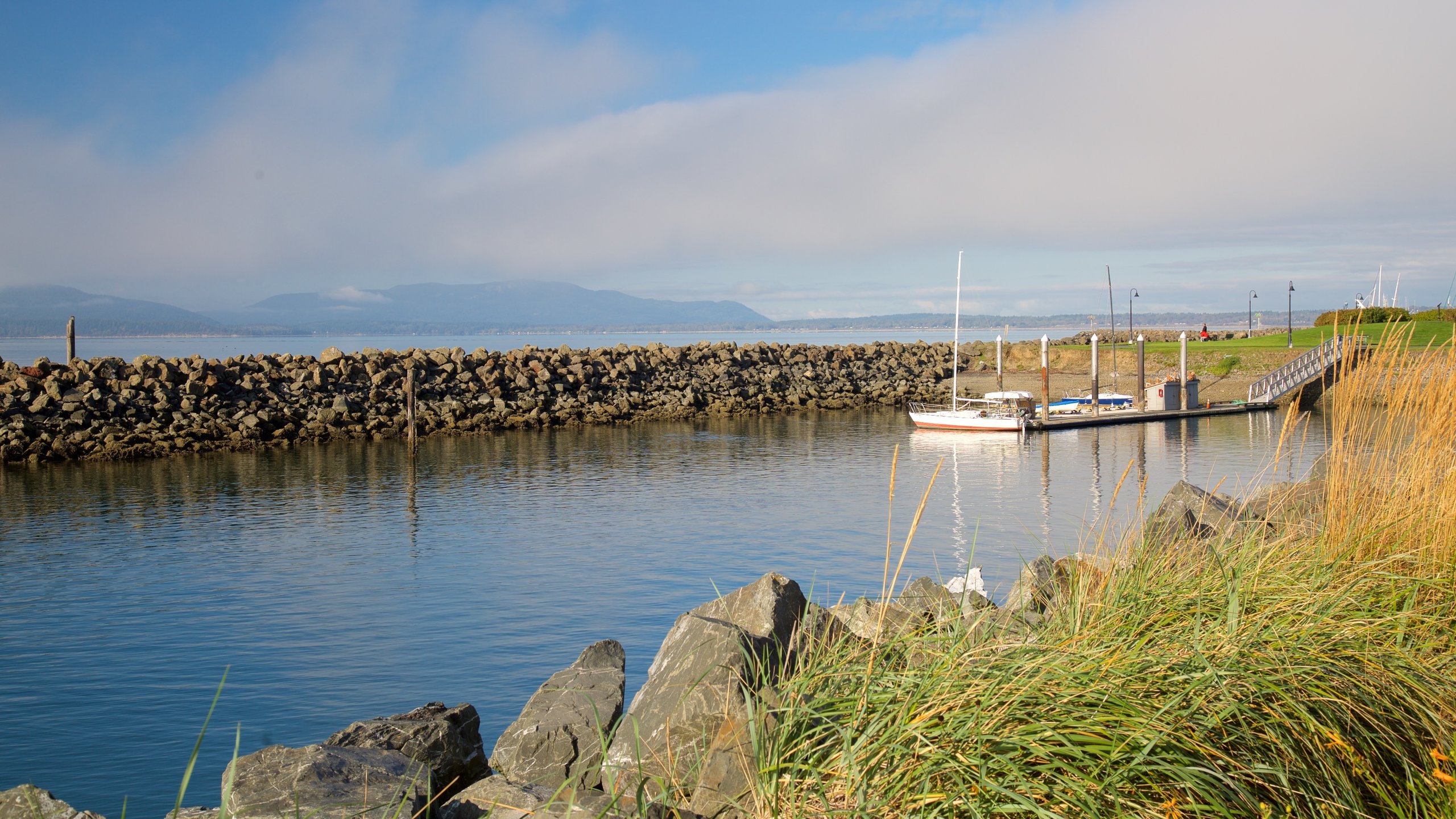 Bellingham showing a bay or harbor and general coastal views