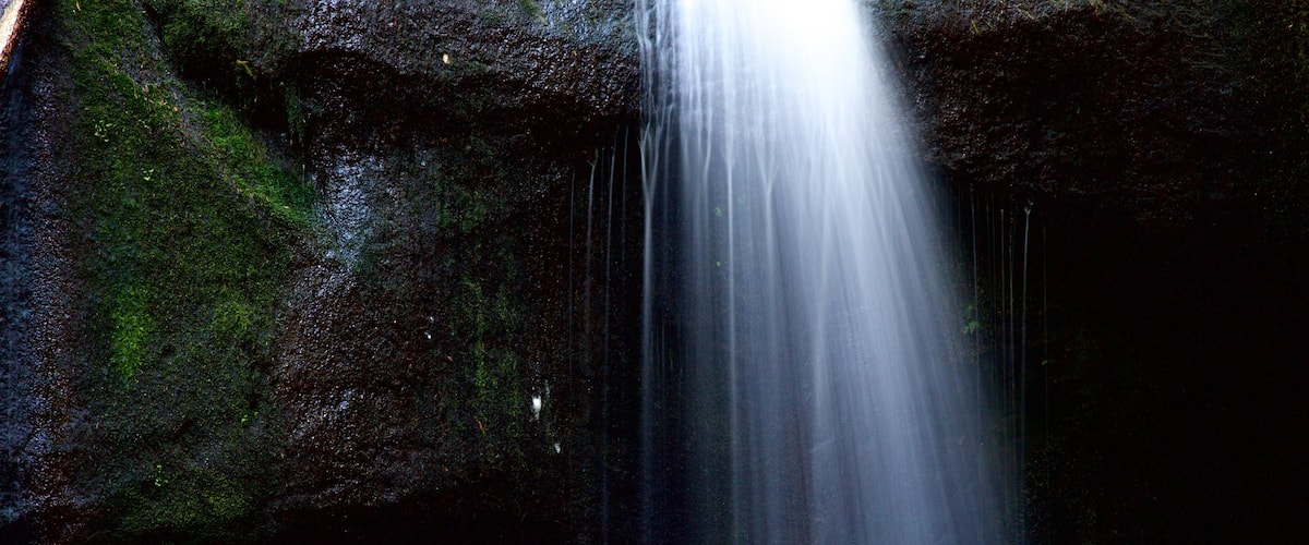 霍特科姆瀑布公園 呈现出 小瀑布 和 森林