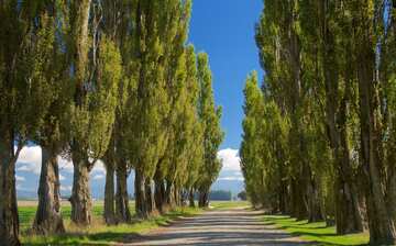 マウント バーノン観光ガイド 定番人気スポットを参考に自分にピッタリの観光プランを立てよう エクスペディア マウント バーノン観光ガイド 定番人気スポットを参考に自分にピッタリの観光プランを立てよう エクスペディア