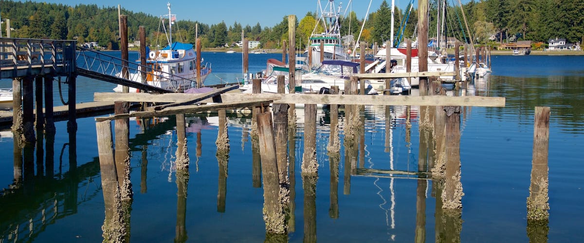 Gig Harbor which includes a marina, a bay or harbor and general coastal views