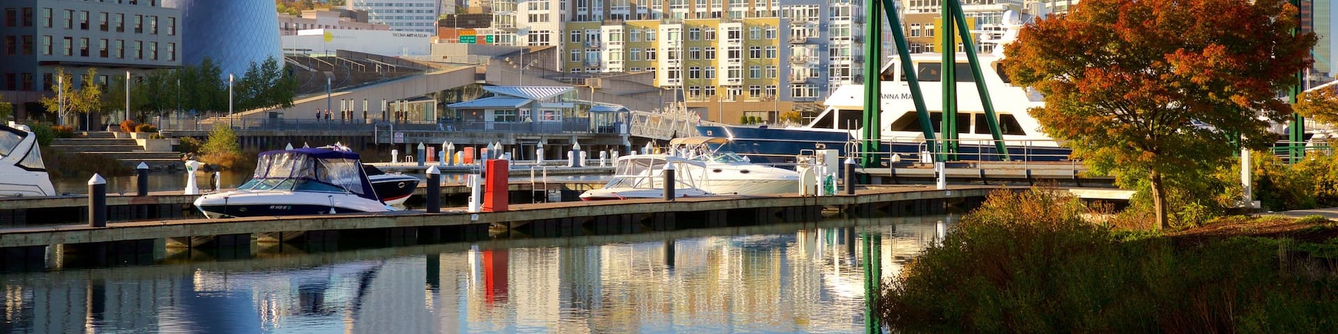 Tacoma showing a city, a bay or harbor and a marina