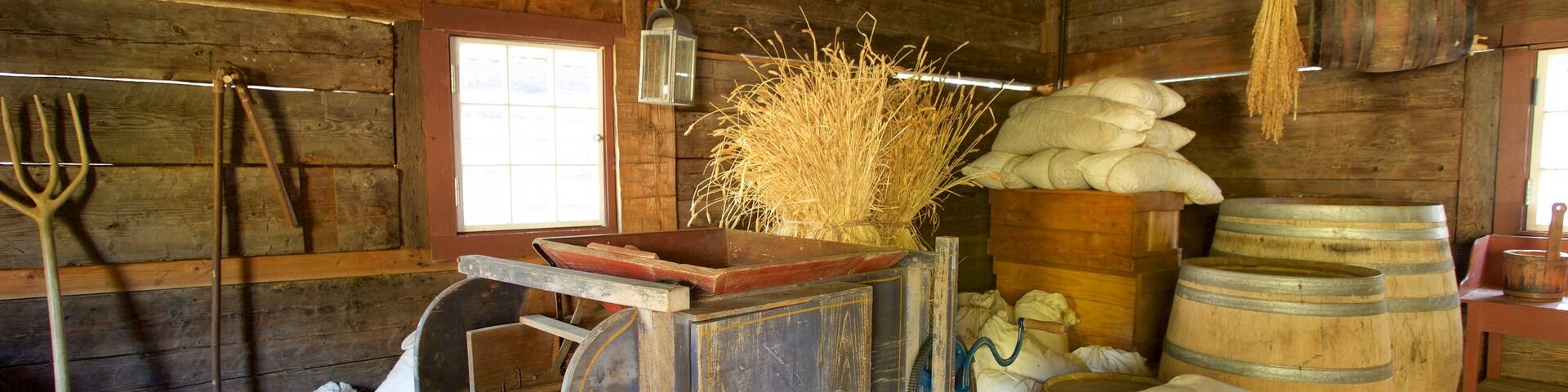 Tacoma featuring interior views