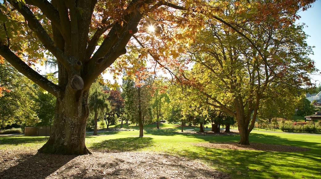 Point Defiance Park showing a garden and autumn leaves