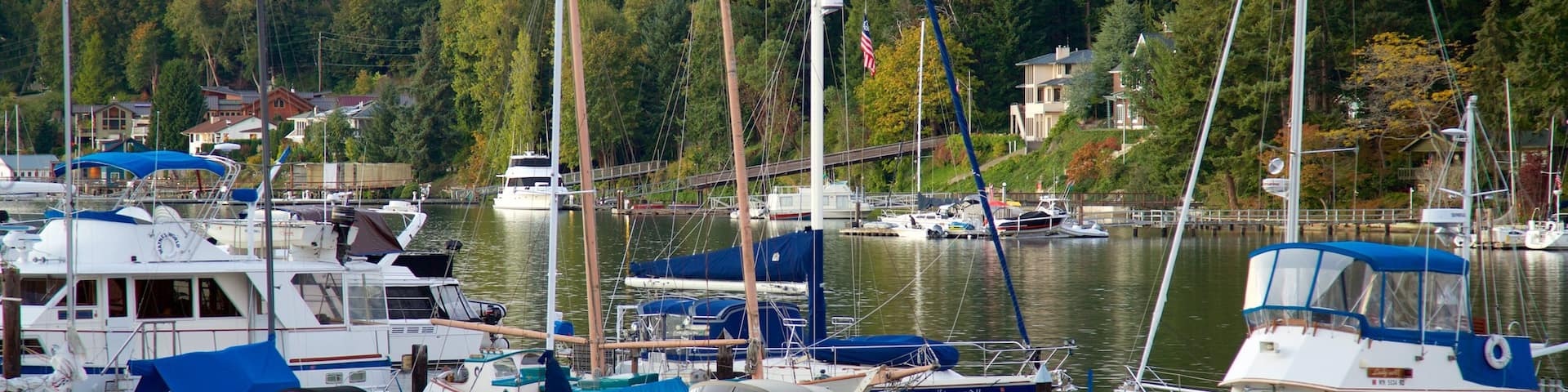 Gig Harbor featuring a marina, a bay or harbor and forest scenes