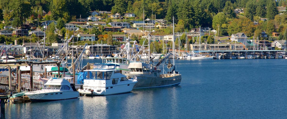 Gig Harbor featuring forests, a coastal town and a marina