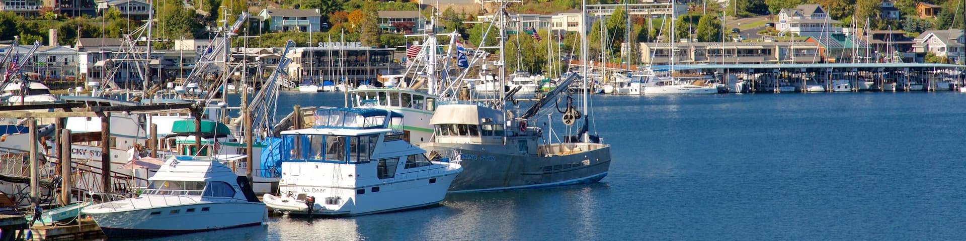 Gig Harbor montrant marina, forêts et baie ou port
