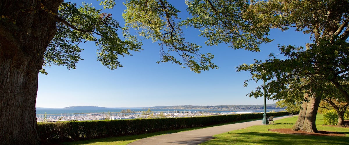 Everett showing a park
