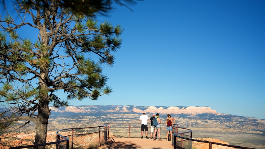 Inspiration Point which includes a gorge or canyon, views and tranquil scenes