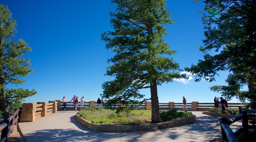 Yovimpa Point showing views and tranquil scenes