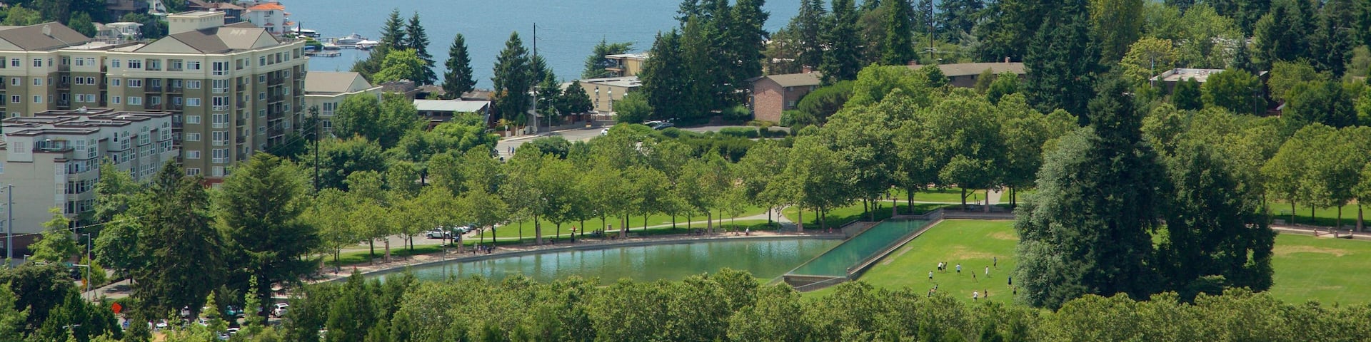 Bellevue which includes a lake or waterhole and a park