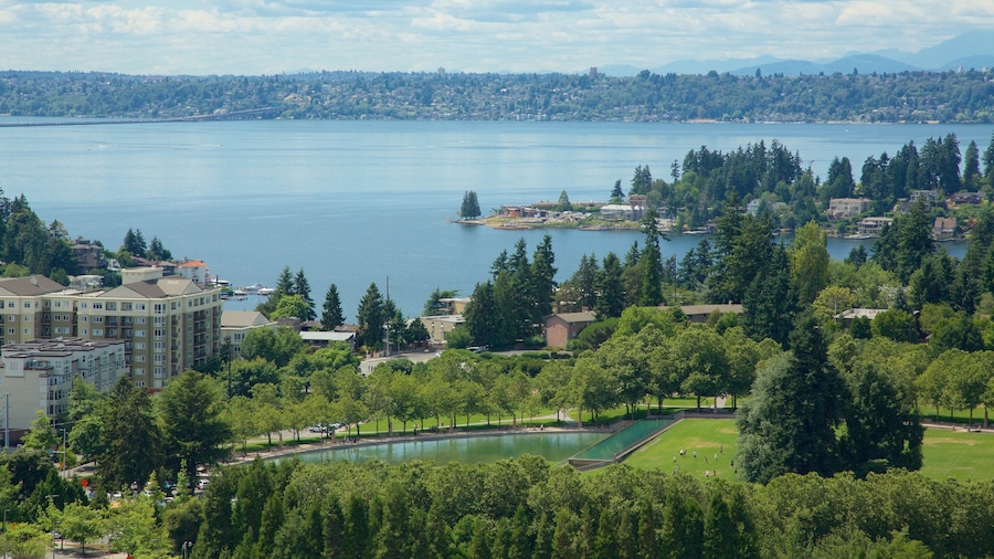 Bellevue which includes a lake or waterhole and a park