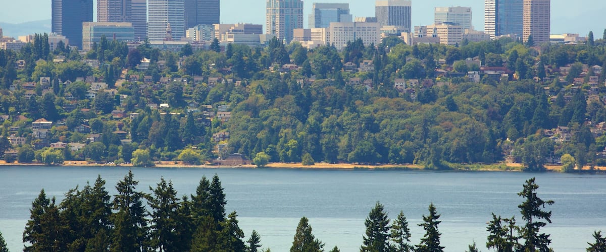 Bellevue toont een park, een stad en hoogbouw