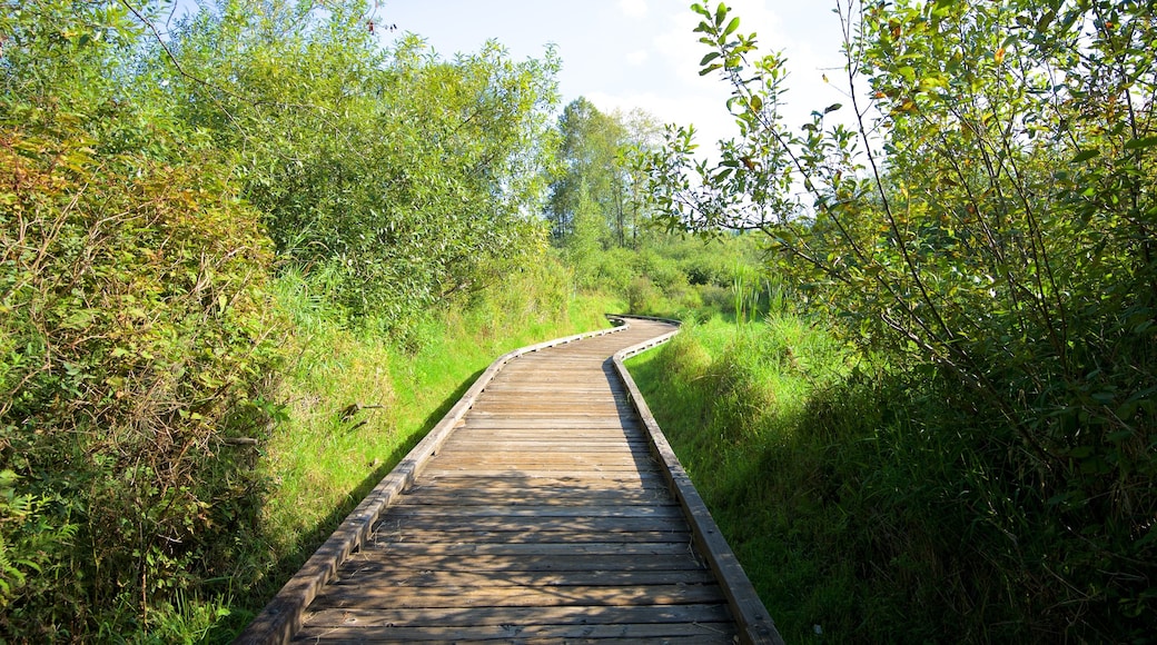 Parque natural Mercer Slough que incluye un parque