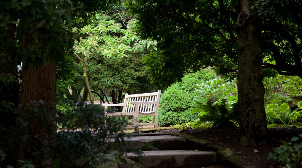 Queen Anne showing a garden