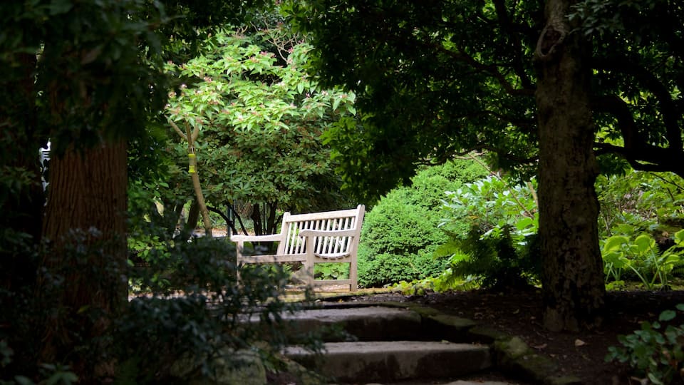 Queen Anne mostrando um jardim