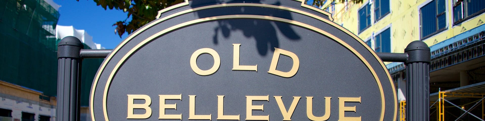 Old Bellevue que incluye señalización